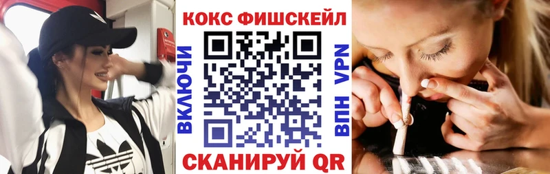 Купить закладки  Нерюнгри  COCAIN Columbia 