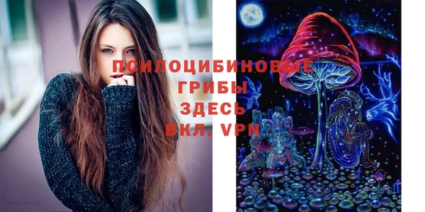 ГАЛЛЮЦИНОГЕННЫЕ ГРИБЫ Яранск