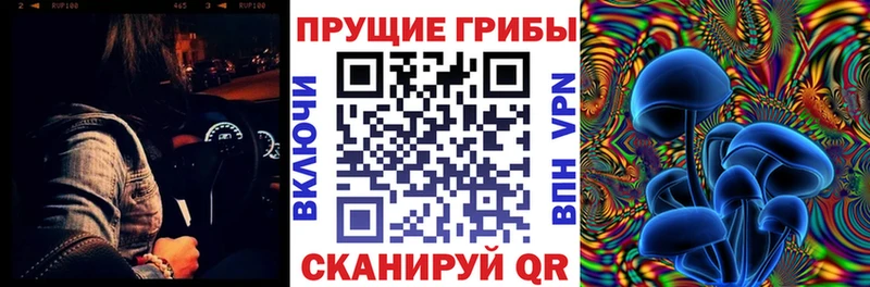 Псилоцибиновые грибы прущие грибы  Купить  Нерюнгри 